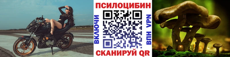 Купить где  Байкальск  Галлюциногенные грибы ЛСД 